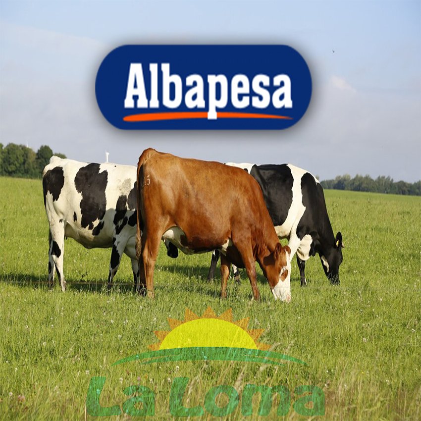 Línea Albapesa
