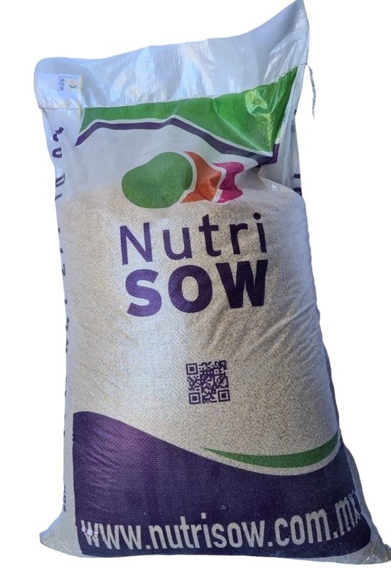 Desarrollo Comercial